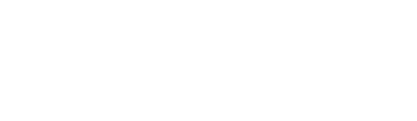 Insight Education Group